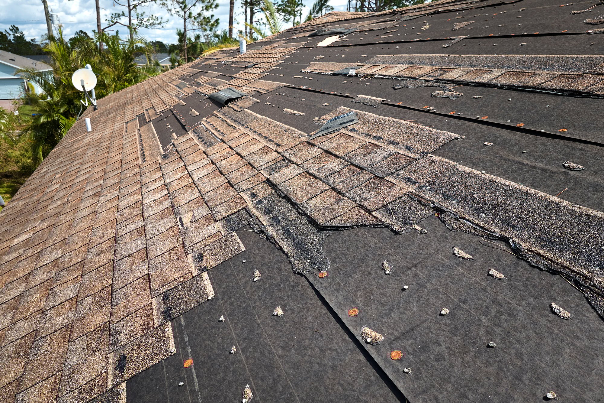 wind-damaged-house-roof-with-missing-asphalt-shing-2024-12-06-10-32-45-utc wind-damaged-house-roof-with-missing-asphalt-shing-2024-12-06-10-32-45-utc
